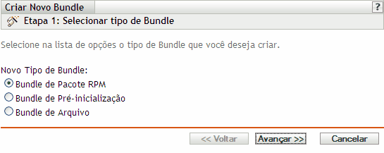 Página Etapa 1: Selecionar tipo de Bundle