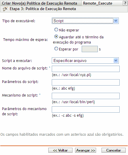 Página Política de Execução Remota