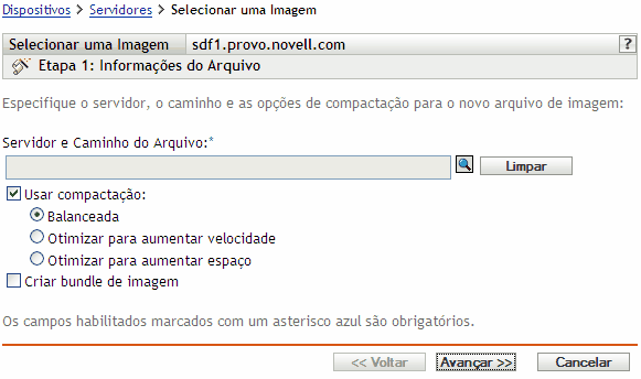 página Etapa 1 para criar um novo bundle: Informações do arquivo (campos Servidor e caminho do arquivo, Usar compactação e Criar bundle de imagem)