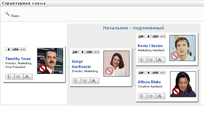 На структурной схеме пользователя отображается уровень его непосредственного руководства