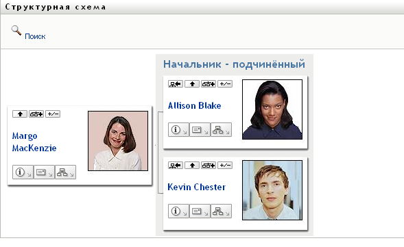 Пользовательская структурная схема по умолчанию после входа в систему