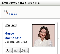 Кнопка "Развертывание и свертывание текущего отношения" — это переключатель.  Это пример свернутого бланка.