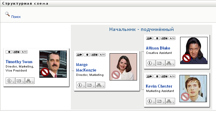 На структурной схеме пользователя отображается уровень его непосредственного руководства
