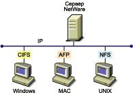   Novell Native File Access Protocols