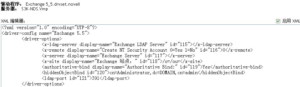 用于指定 LDAP 端口的语法