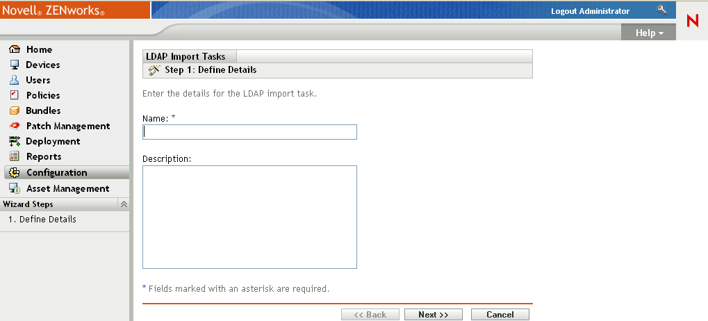 LDAP 导入任务向导 > 定义细节页