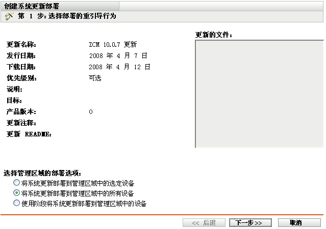 选择系统更新和部署选项向导页