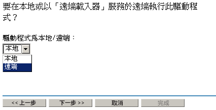 遠端選項